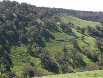 hillside-medium